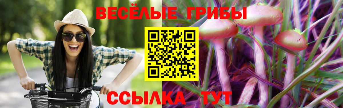 Буйнакск  Псилоцибиновые грибы MAGIC MUSHROOMS  где продают   Вход с VPN 